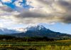 Can Ecuador’s Organic Law of Sport solve a gambling paradox? Ecuador