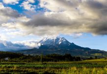 Can Ecuador’s Organic Law of Sport solve a gambling paradox? Ecuador