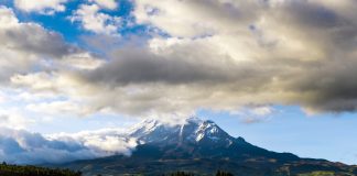 Can Ecuador’s Organic Law of Sport solve a gambling paradox? Ecuador