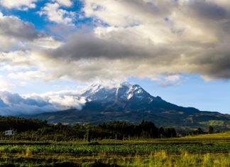 Can Ecuador’s Organic Law of Sport solve a gambling paradox? Ecuador