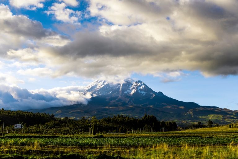 Can Ecuador’s Organic Law of Sport solve a gambling paradox? Ecuador