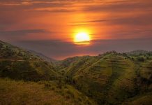 Rwanda cements three new licenses in a move to tighten oversight Rwanda new era