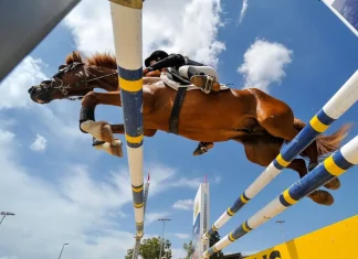 Bragg clears final hurdle in Drayton International acquisition Horse jumping over hurdle