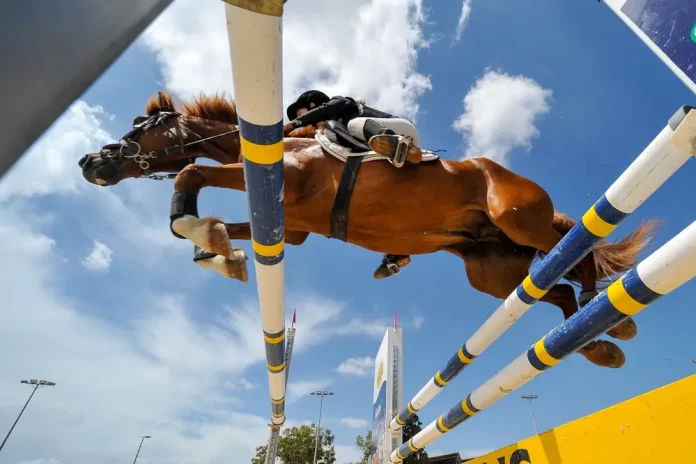 Horse jumping over hurdle